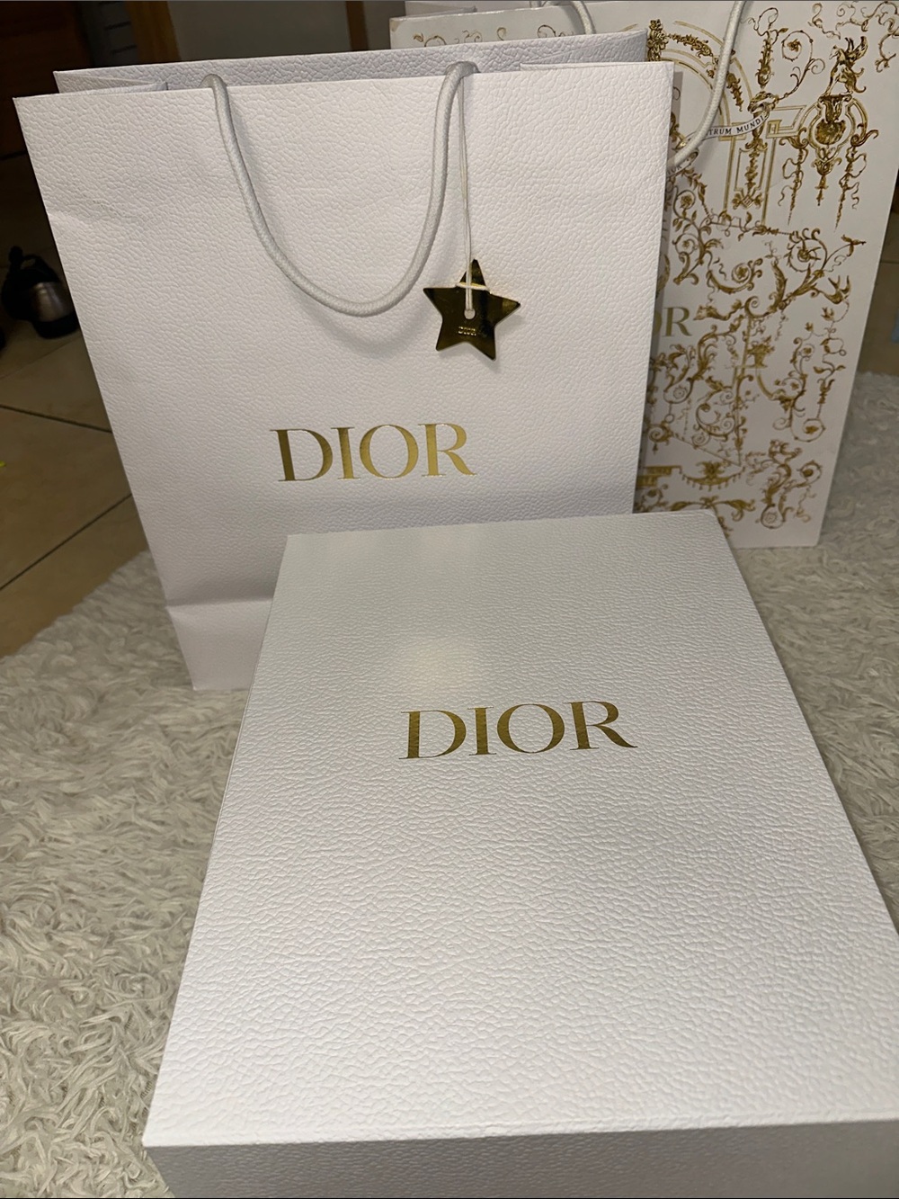 DIOR bags box ( 15’11.5’7’) with a two paper bags